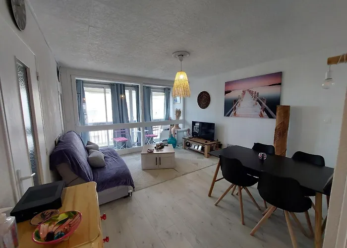 Avec Wifi, Climatisation Et Parking - 400m De La - Fr-1-776-15 Apartman Saint-Cyprien